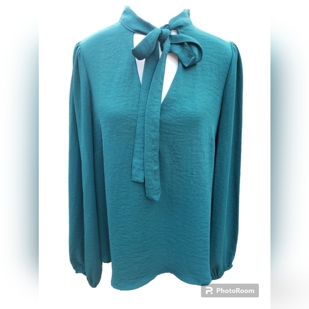 Crescent & Willough Womens Size M Tie Neck Blouse